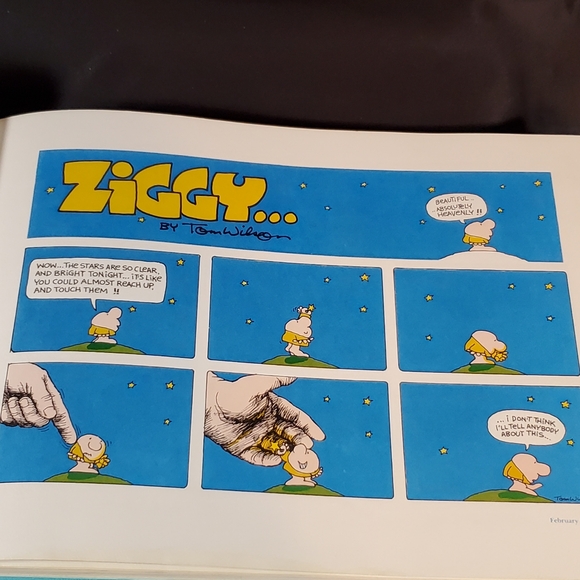 Ziggy's Best of the Seventies Book - Picture 3 of 11